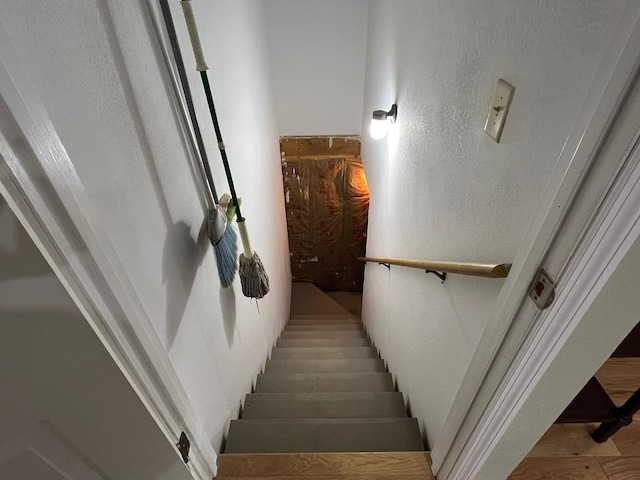 stairway with hardwood / wood-style flooring