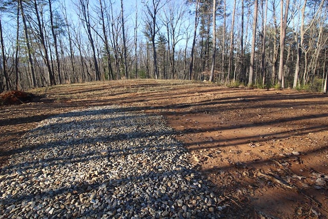 LOT10 Johnston Rd, Blue Ridge GA, 30513 land for sale