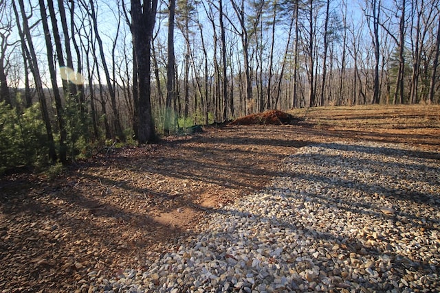 Listing photo 2 for LOT10 Johnston Rd, Blue Ridge GA 30513