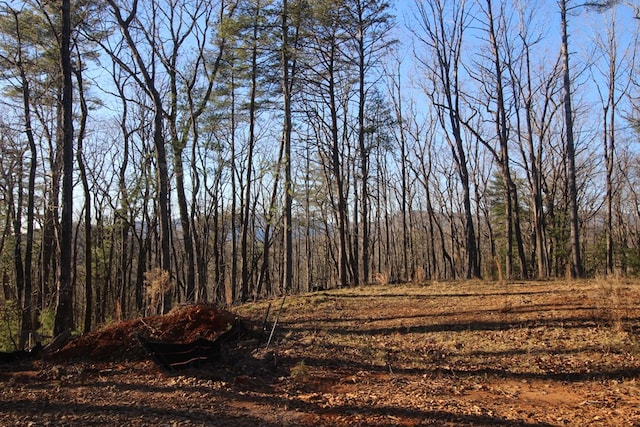 Listing photo 3 for LOT10 Johnston Rd, Blue Ridge GA 30513