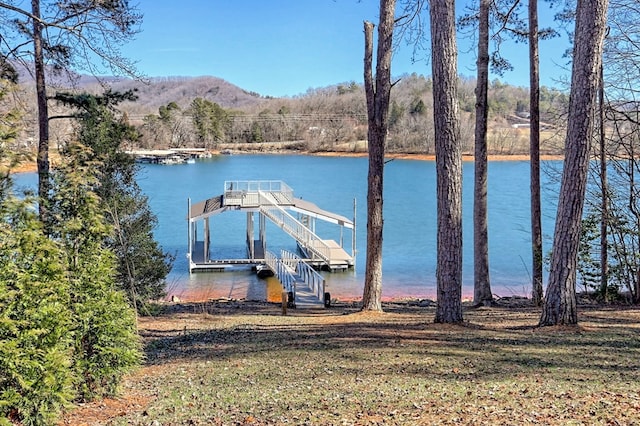 dock area with a water view