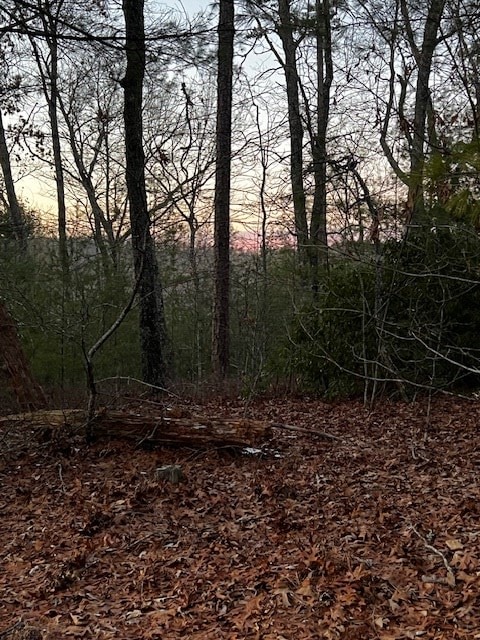 Listing photo 2 for LOT4 Cook Henry Rd, Morganton GA 30560