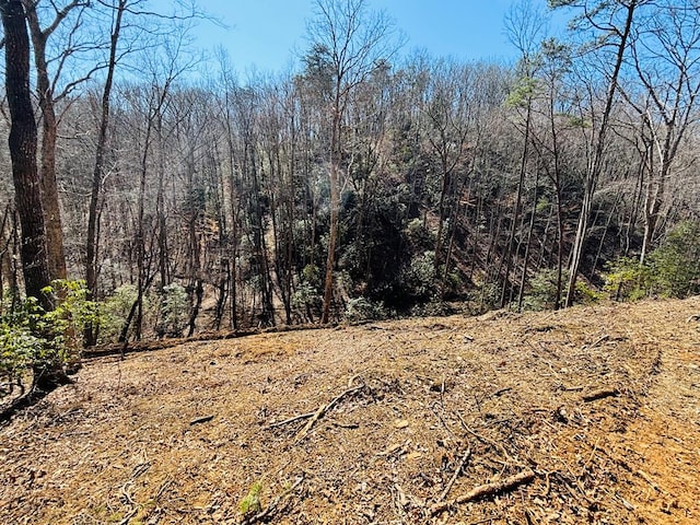 2.49AC Mountain Tops Cir, Blue Ridge GA, 30513 land for sale