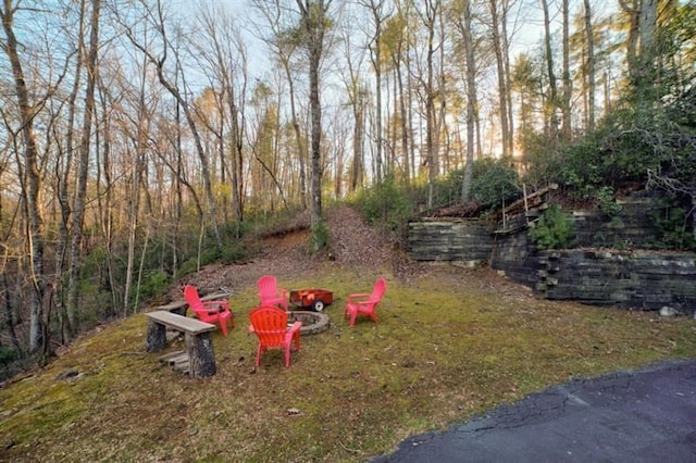 view of yard featuring an outdoor fire pit