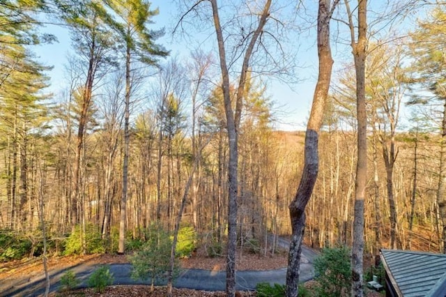 view of local wilderness