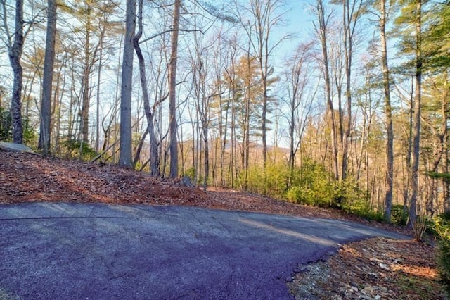 view of street featuring a forest view