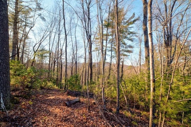 view of landscape featuring a wooded view