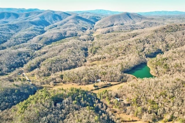 property view of mountains with a water view