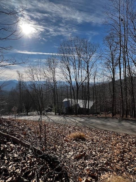 LOT54 Sunny View Dr, Blairsville GA, 30512 land for sale