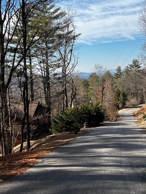 Listing photo 3 for LOT54 Sunny View Dr, Blairsville GA 30512