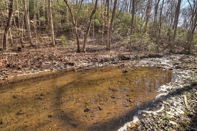 view of local wilderness