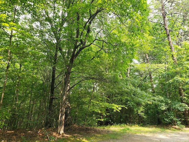 74A Licklog Rdg, Hayesville, NC 28904