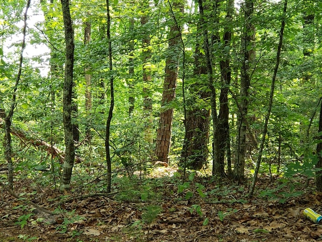 74A Licklog Rdg, Hayesville, NC 28904