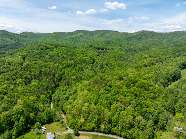 bird's eye view featuring a mountain view