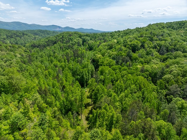 bird's eye view with a mountain view