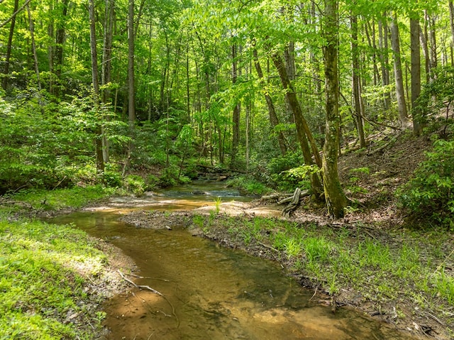 view of nature