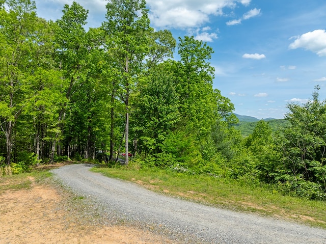 view of road