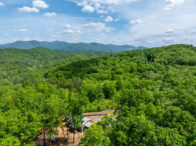 view of mountain feature