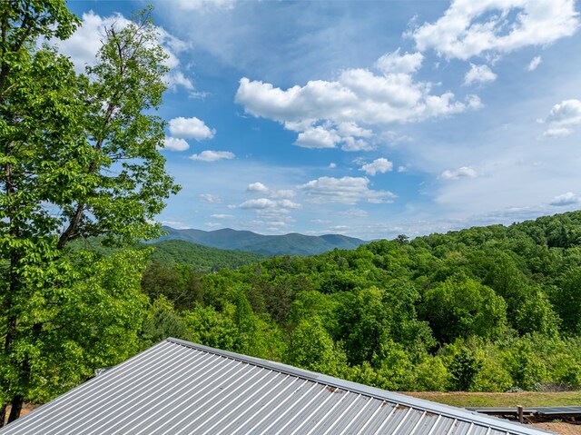 view of mountain feature