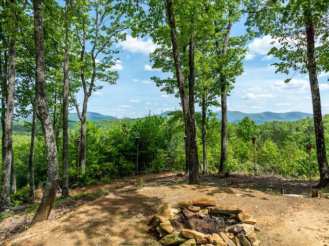 view of nature with a mountain view