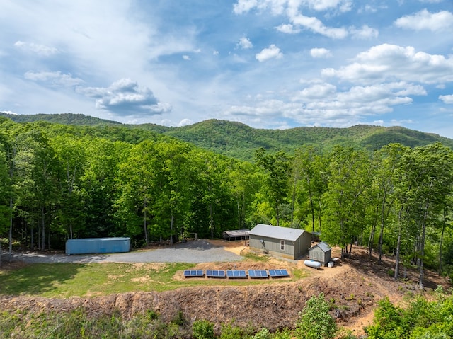 view of mountain feature