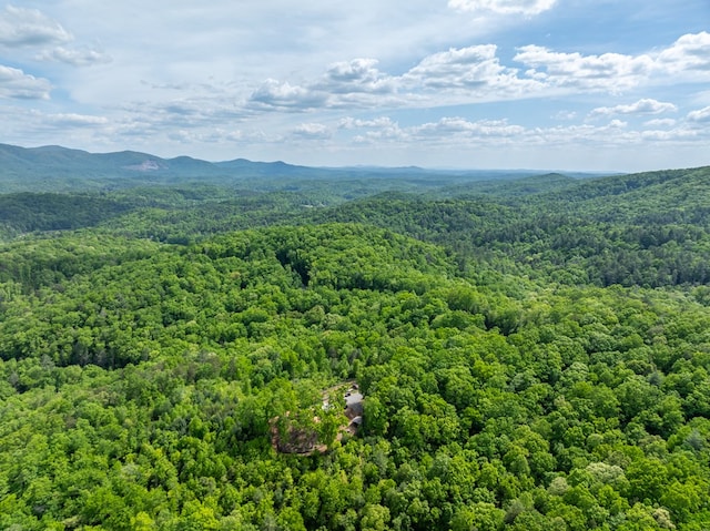 aerial view with a mountain view