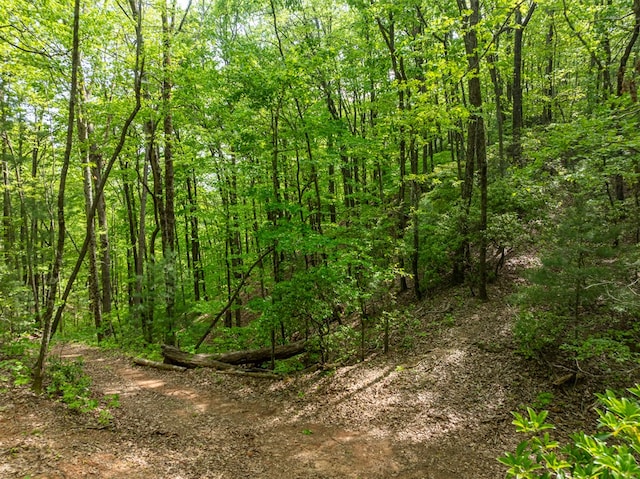 view of local wilderness