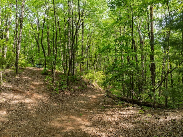 view of nature