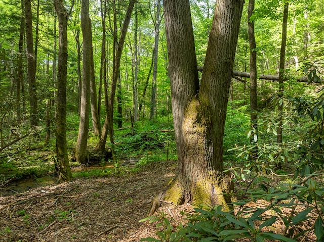 view of nature