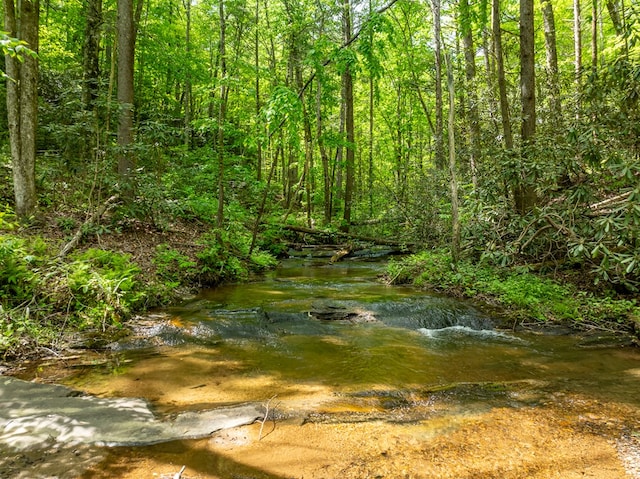 view of local wilderness