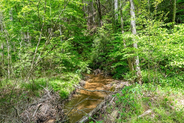 view of local wilderness