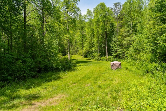 view of local wilderness