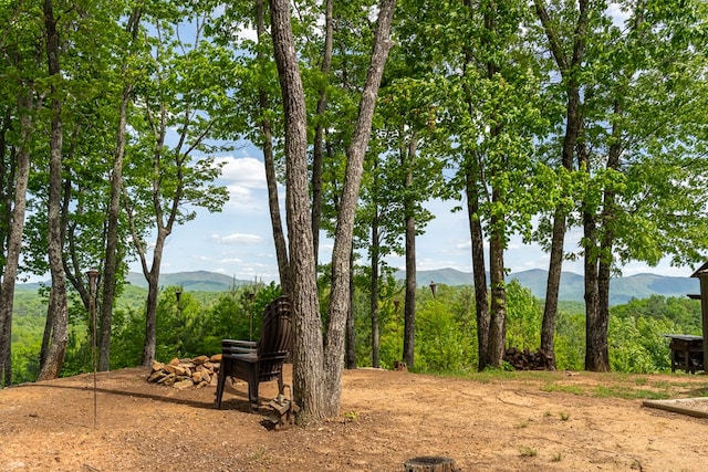 view of landscape featuring a mountain view