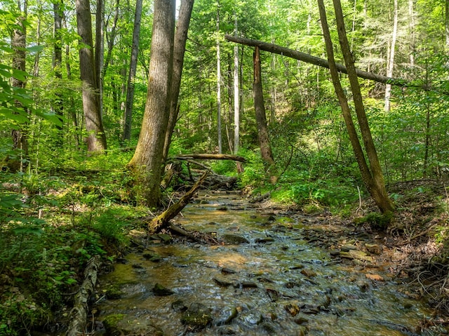 view of nature