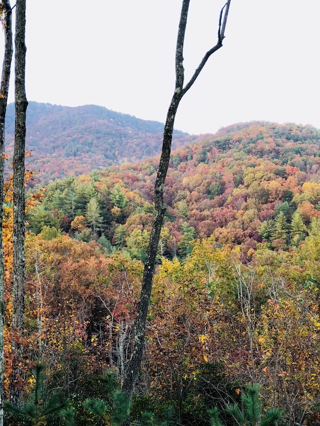 view of mountain feature