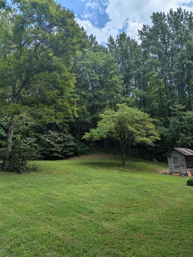 view of yard with a storage shed