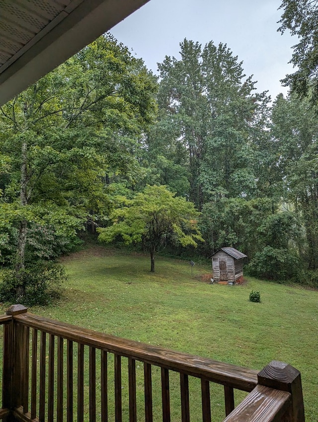 view of yard with a storage shed