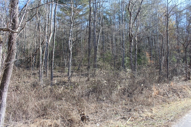 view of local wilderness