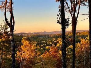 property view of mountains