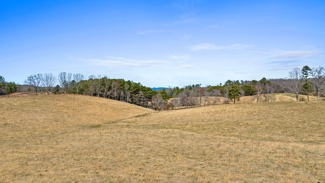 view of local wilderness with a rural view