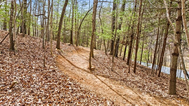 view of landscape featuring a view of trees