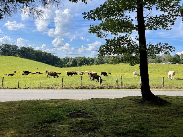 1994 Douthit Rd, Mineral Bluff, GA 30559 - view of green lawn with a rural view