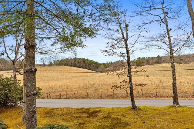 view of yard with a rural view