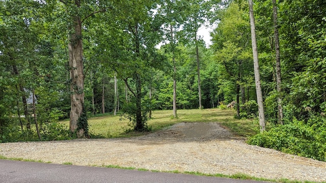 Listing photo 2 for LOT7 Souther Farm Dr, Blairsville GA 30512