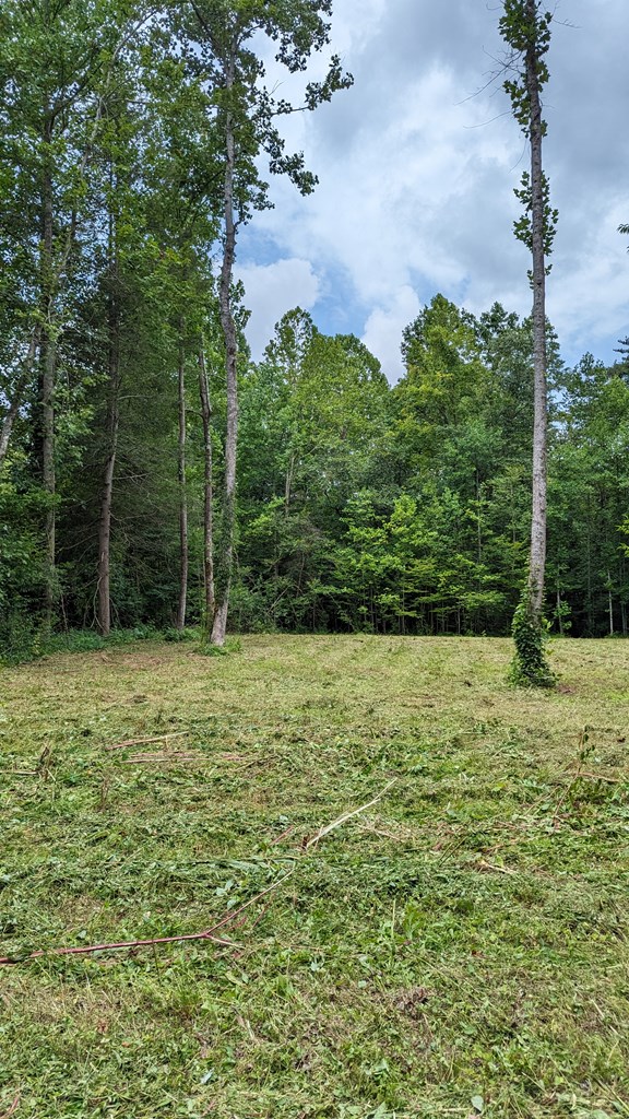 Listing photo 3 for LOT7 Souther Farm Dr, Blairsville GA 30512