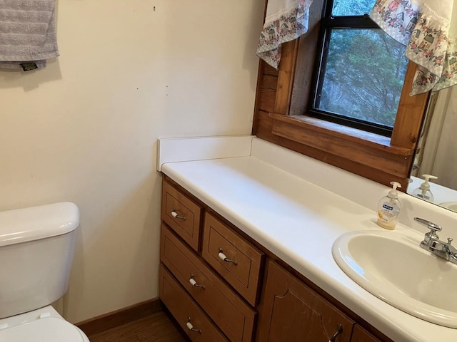 147 Holly Ridge Ln, Murphy, NC 28906 - bathroom with vanity, hardwood / wood-style floors, and toilet