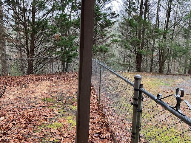 147 Holly Ridge Ln, Murphy, NC 28906 - view of yard