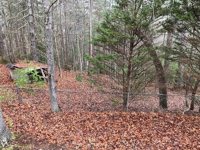 147 Holly Ridge Ln, Murphy, NC 28906 - view of landscape