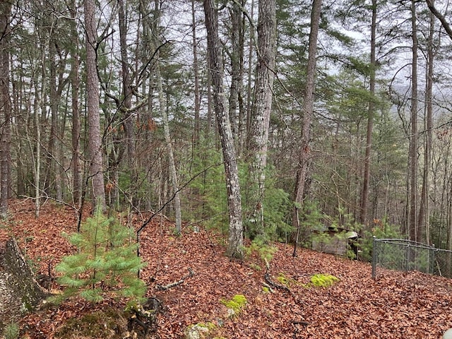147 Holly Ridge Ln, Murphy, NC 28906 - view of nature