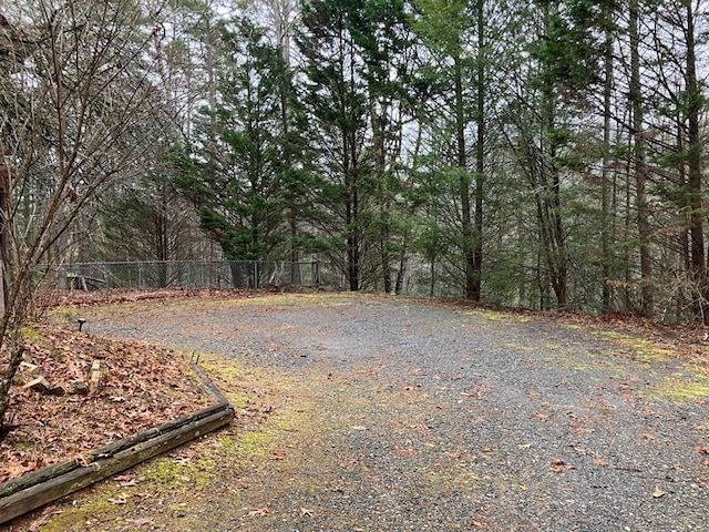 147 Holly Ridge Ln, Murphy, NC 28906 - view of yard